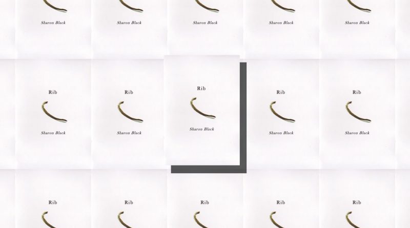 Front cover of 'Rib' by Sharon Black, featuring an image of a rib on a white background