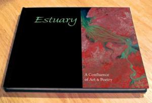 estuary1