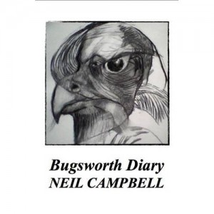 Bugsworth Diary