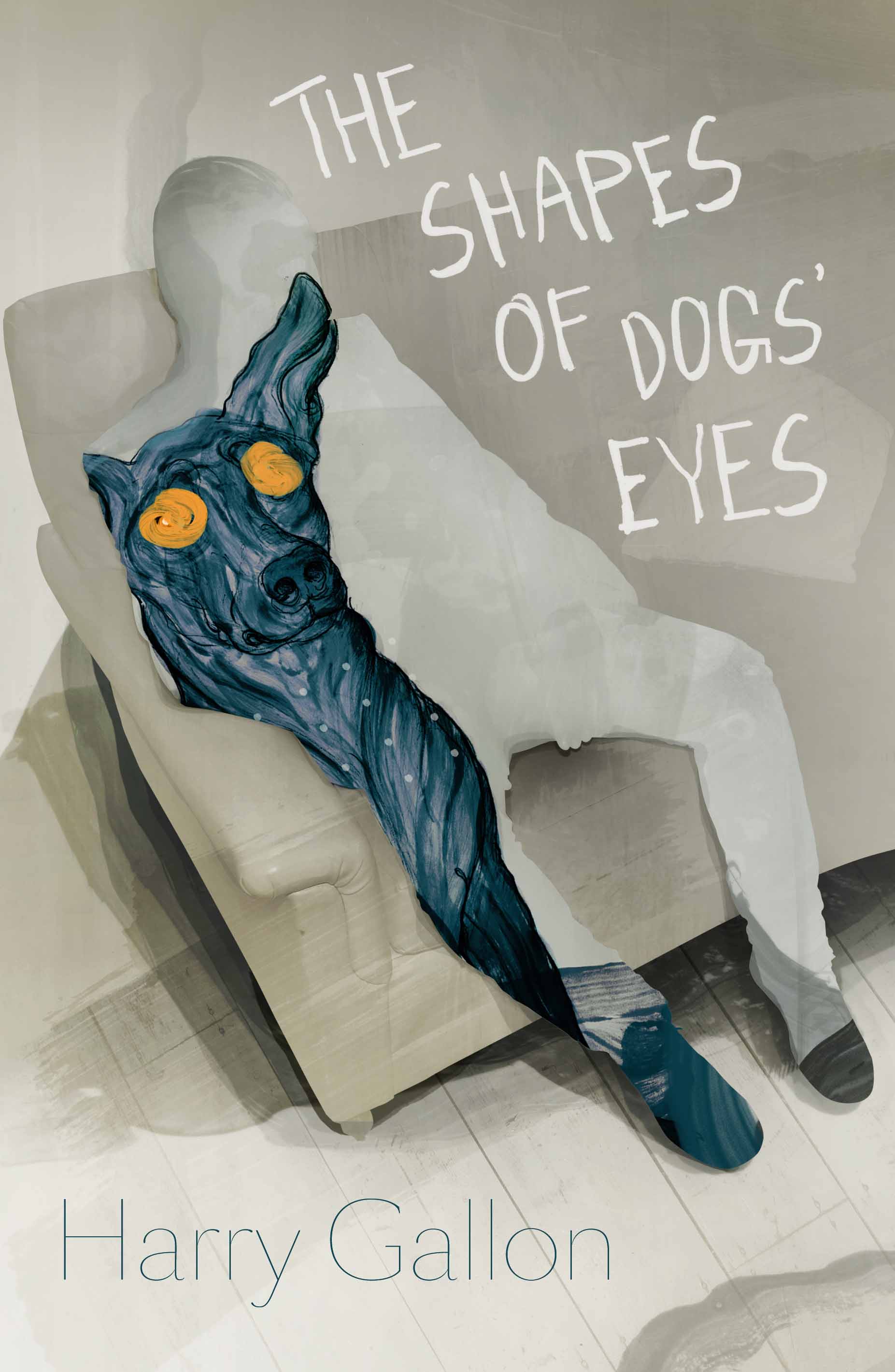 The Shape of Dogs' Eyes Henry Gallon