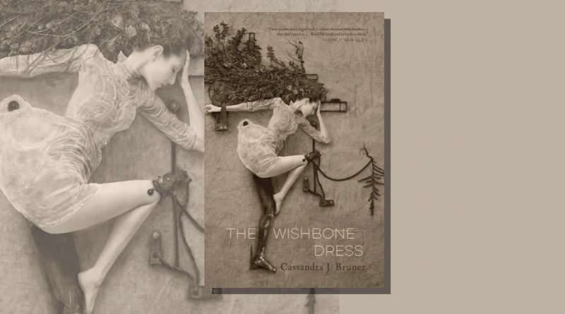 The Wishbone Dress book cover